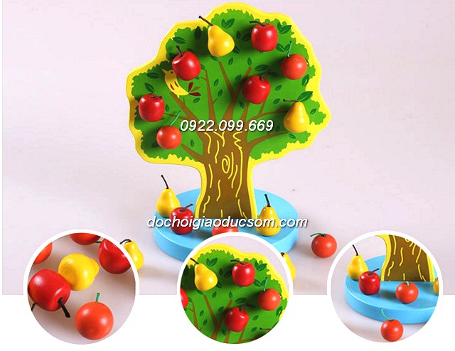Cây quả nam châm học toán - Gỗ đẹp