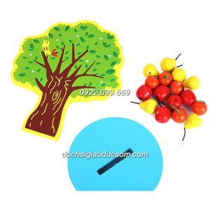 Cây quả nam châm học toán - Gỗ đẹp