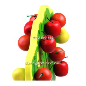 Cây quả nam châm học toán - Gỗ đẹp