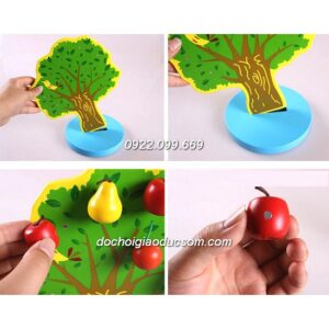 Cây quả nam châm học toán - Gỗ đẹp