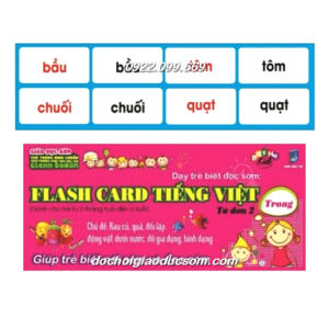 FLASH CARD TIẾNG VIỆT, TỪ ĐƠN 2 Giá tốt