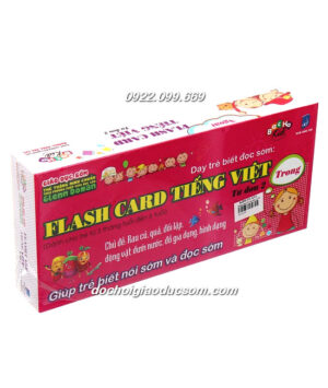 FLASH CARD TIẾNG VIỆT, TỪ ĐƠN 2 Hàng chuẩn